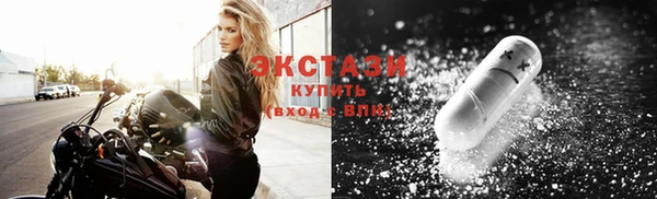 ECSTASY Богданович