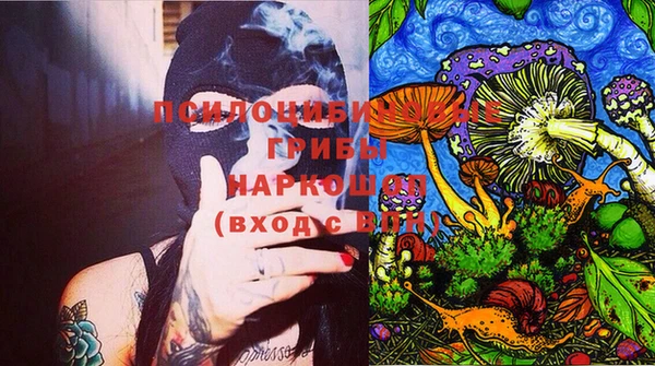 молекула духа Бронницы