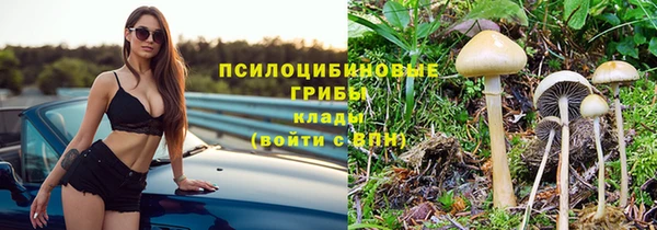 спиды Богородск