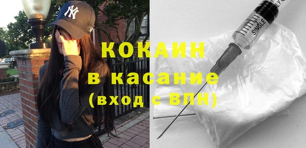 ECSTASY Богданович