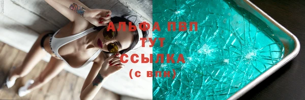 спиды Богородск