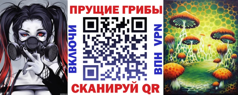 OMG ONION  Миллерово  Псилоцибиновые грибы Magic Shrooms 